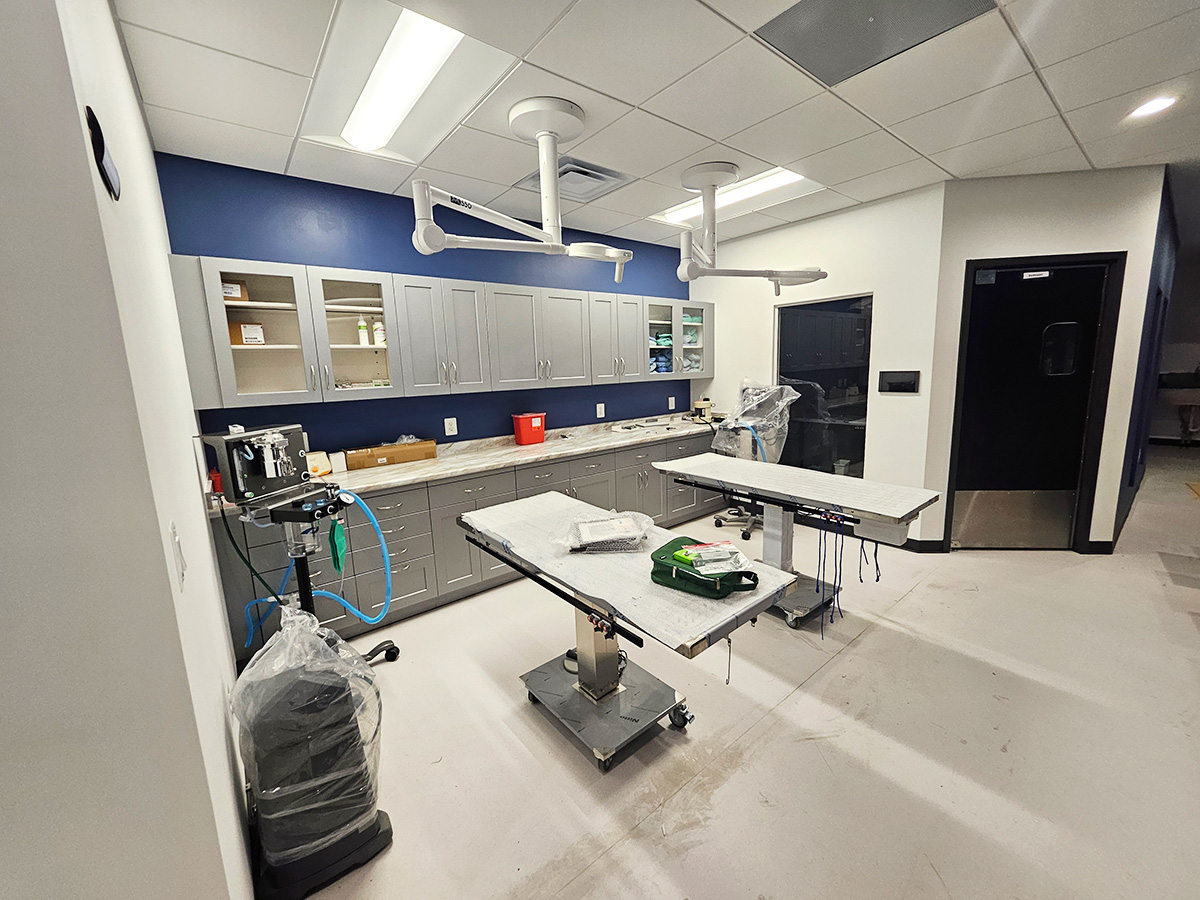 corner of modern building