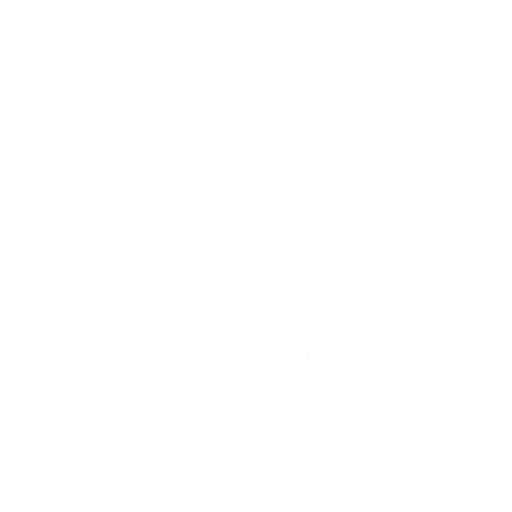 pet vaccination icon