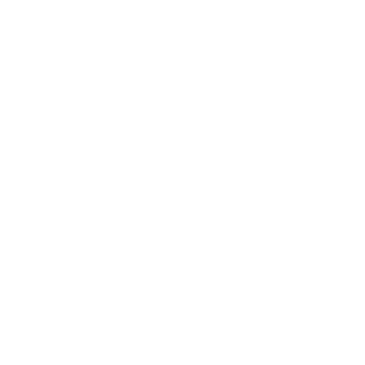 pet-travel icon
